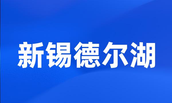 新锡德尔湖