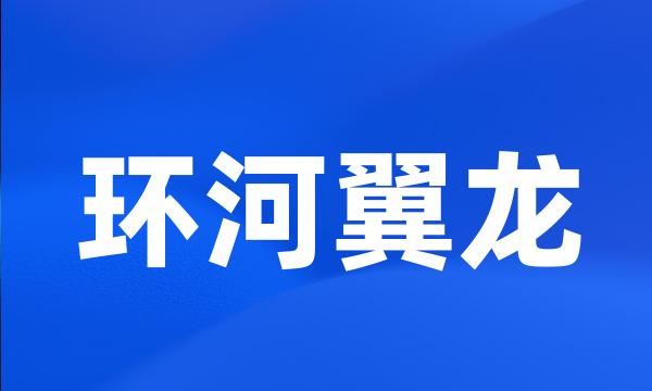 环河翼龙