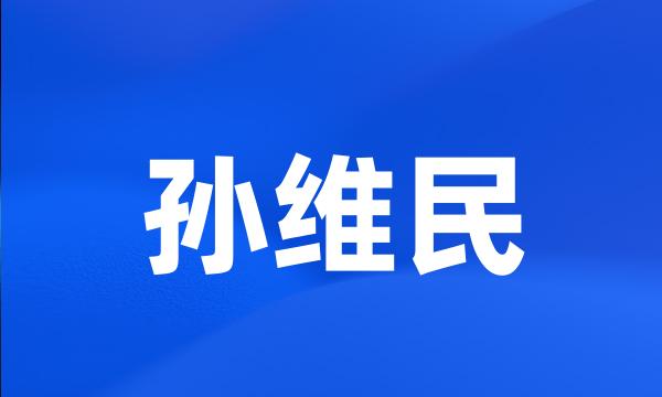 孙维民