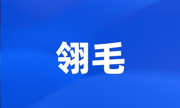 翎毛