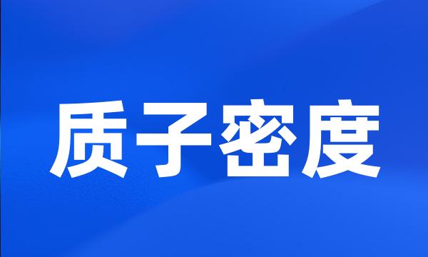 质子密度