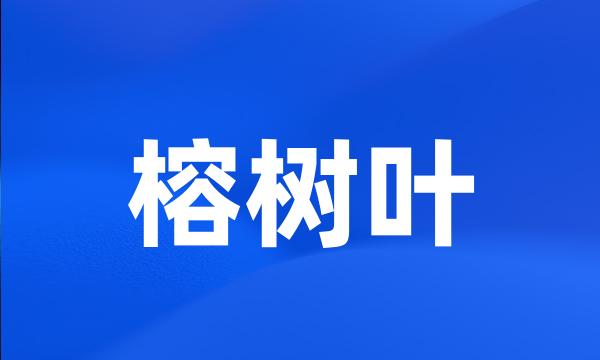 榕树叶