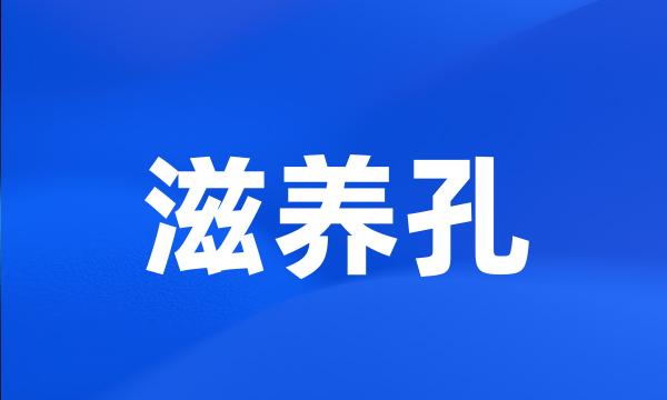 滋养孔