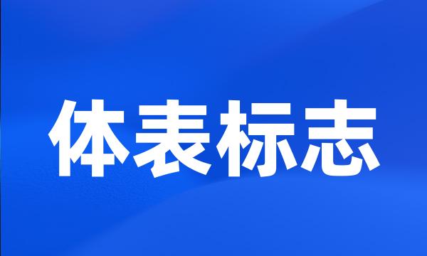 体表标志