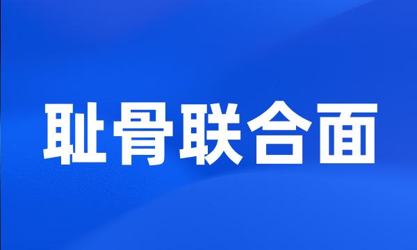 耻骨联合面