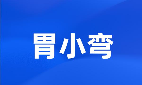 胃小弯