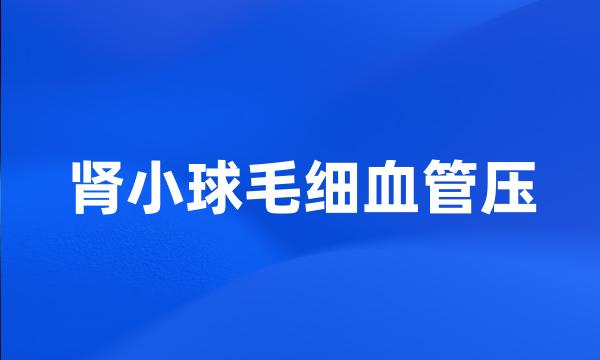 肾小球毛细血管压