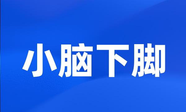 小脑下脚