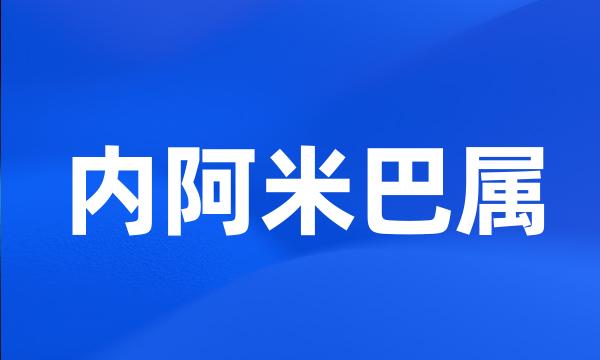 内阿米巴属