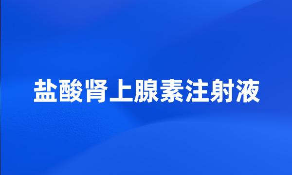 盐酸肾上腺素注射液