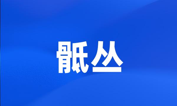 骶丛