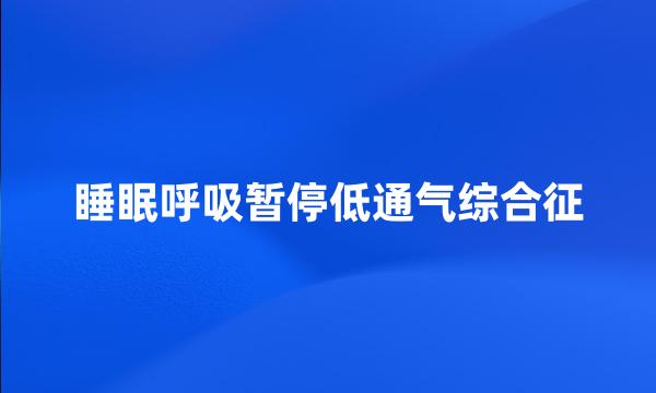 睡眠呼吸暂停低通气综合征