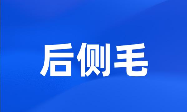 后侧毛