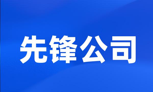 先锋公司