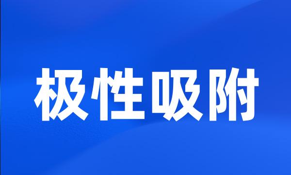 极性吸附