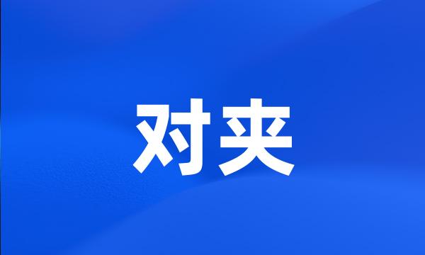 对夹