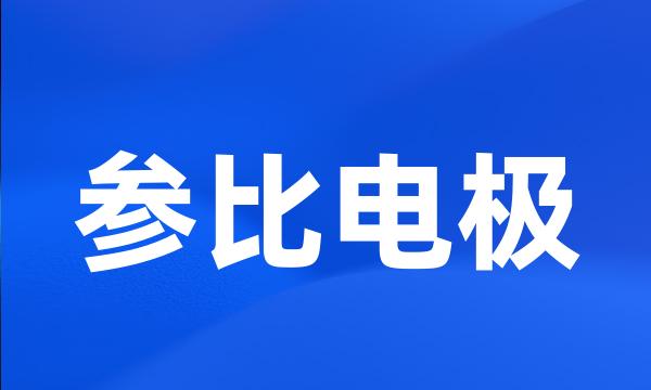 参比电极