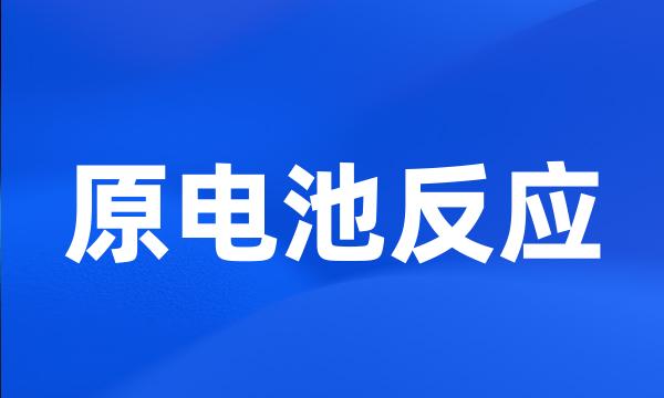 原电池反应