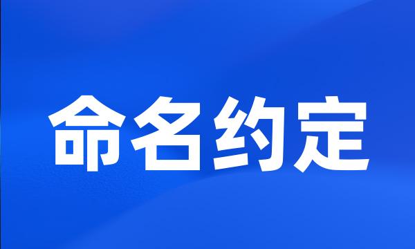 命名约定