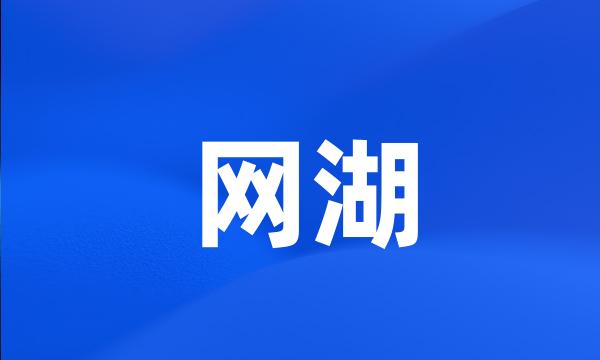 网湖