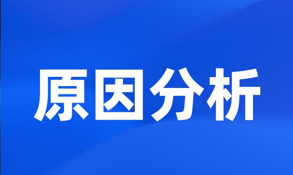 原因分析