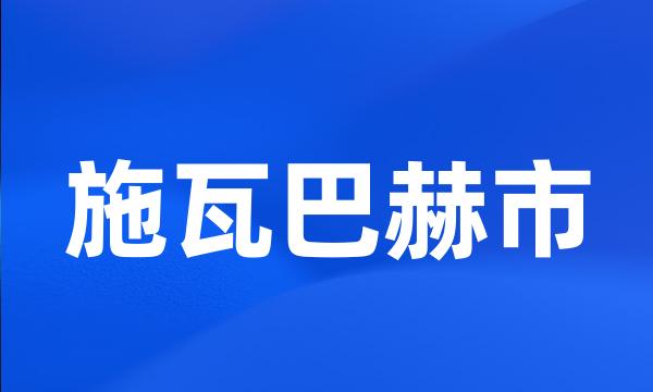 施瓦巴赫市