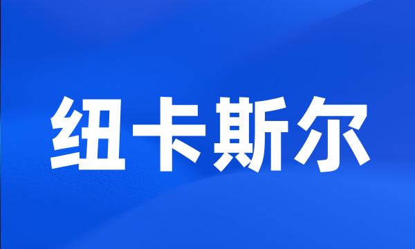 纽卡斯尔