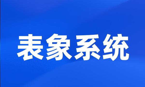 表象系统