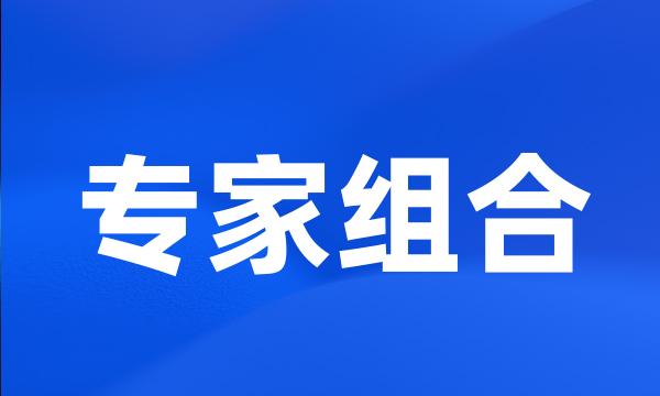 专家组合