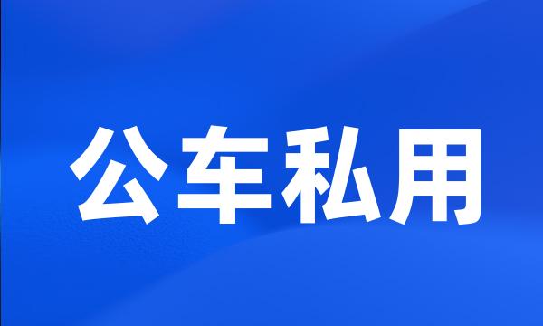 公车私用