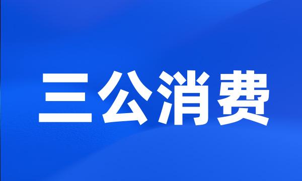 三公消费