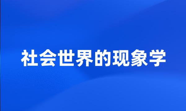 社会世界的现象学