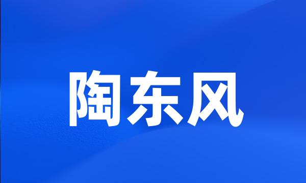 陶东风