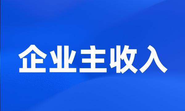 企业主收入