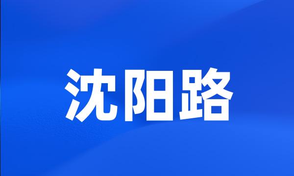 沈阳路