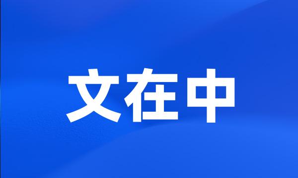 文在中