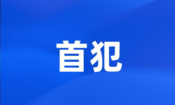 首犯