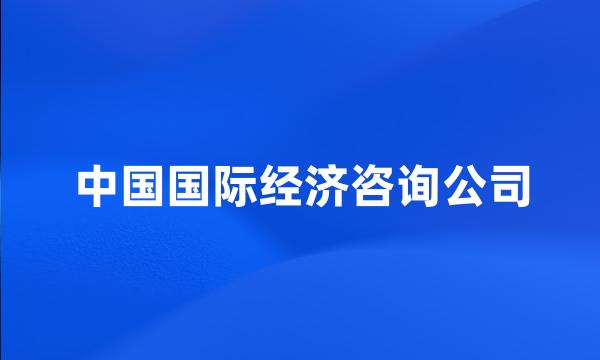 中国国际经济咨询公司