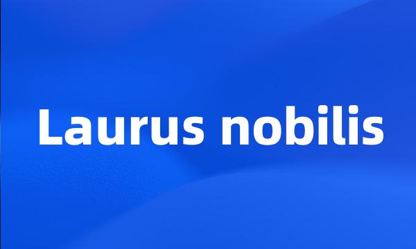 Laurus nobilis