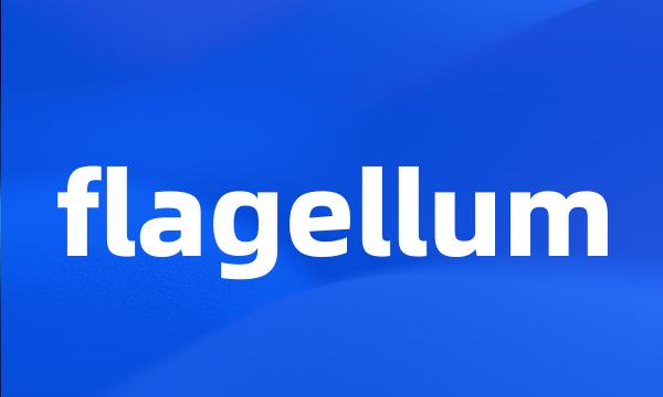 flagellum