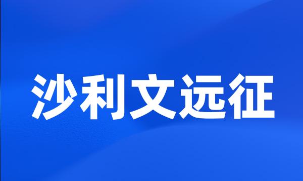 沙利文远征