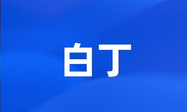 白丁