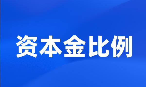 资本金比例