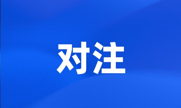 对注