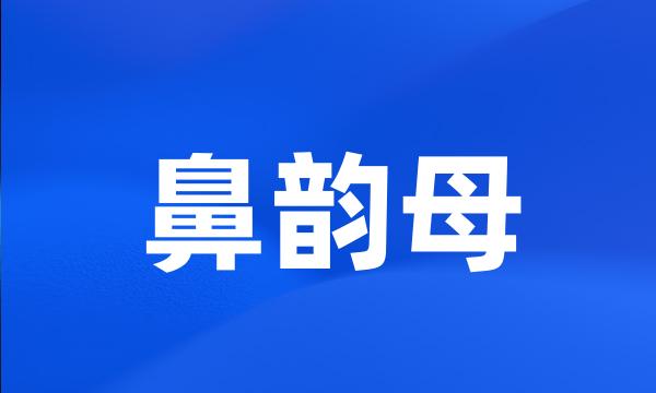 鼻韵母