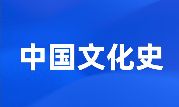 中国文化史