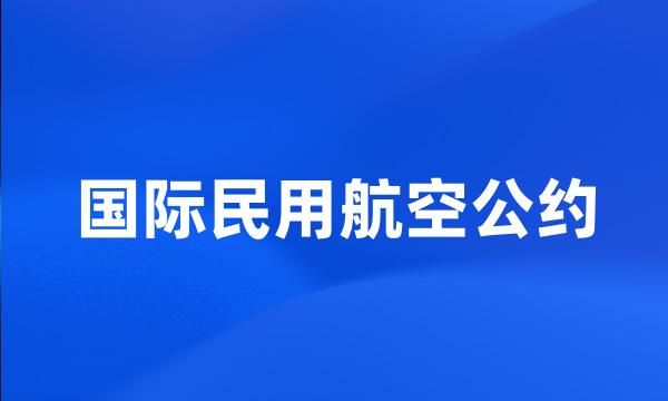 国际民用航空公约