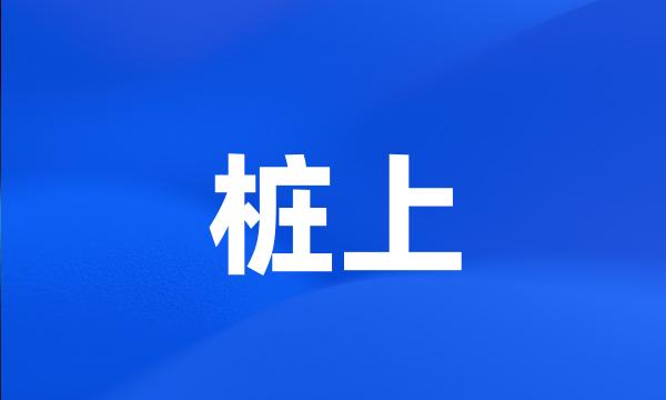 桩上