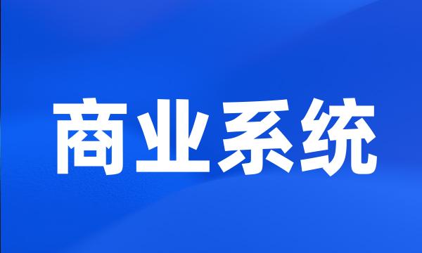 商业系统