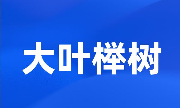 大叶榉树